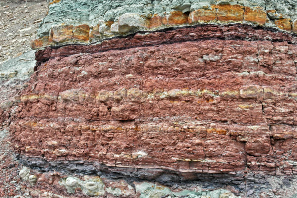 Mudshales of the Middle Jurassic Wanakah Formation (formerly known as the Summerville Formation). Some weathering-resistant siltstone and sandstone interbeds are also present. The Wanakah Formation is mostly nonmarine, but some marginal marine beds have been identified. Relatively few fossils have been found in the Wanakah Formation of western Colorado and eastern Utah, but include bivalves, ostracods, fish, and trace fossils. Colorado National Monument, Mesa County, Colorado. Photo credit: James St. John, Wikimedia.